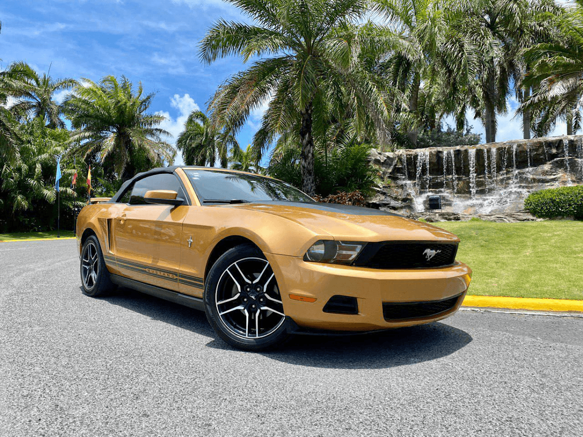 Punta Cars - Imagen 2