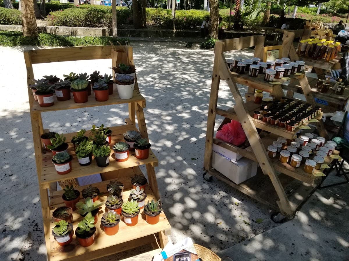Mercado Orgánico - Imagen 1