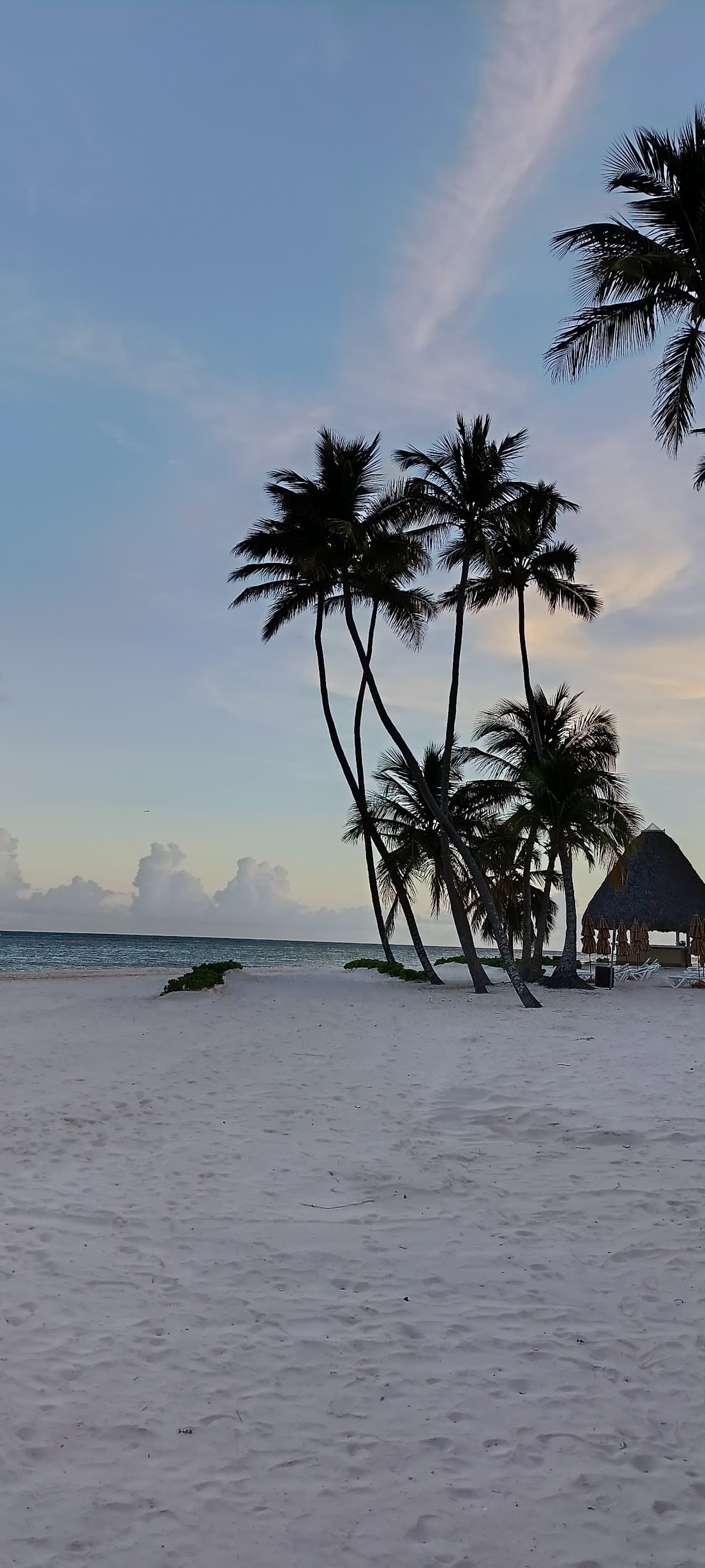 Kite Club Punta Cana - Imagen 2