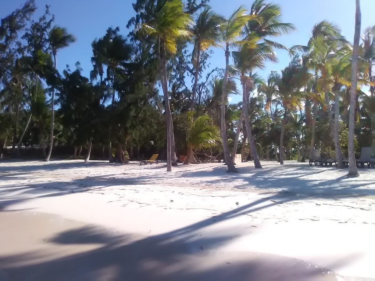 Kite Club Punta Cana - Imagen 3