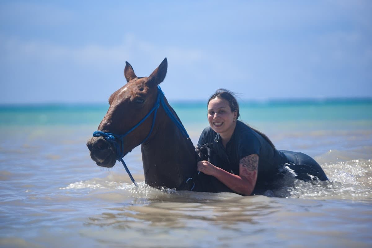 Swim Horse Punta Cana - Imagen 2