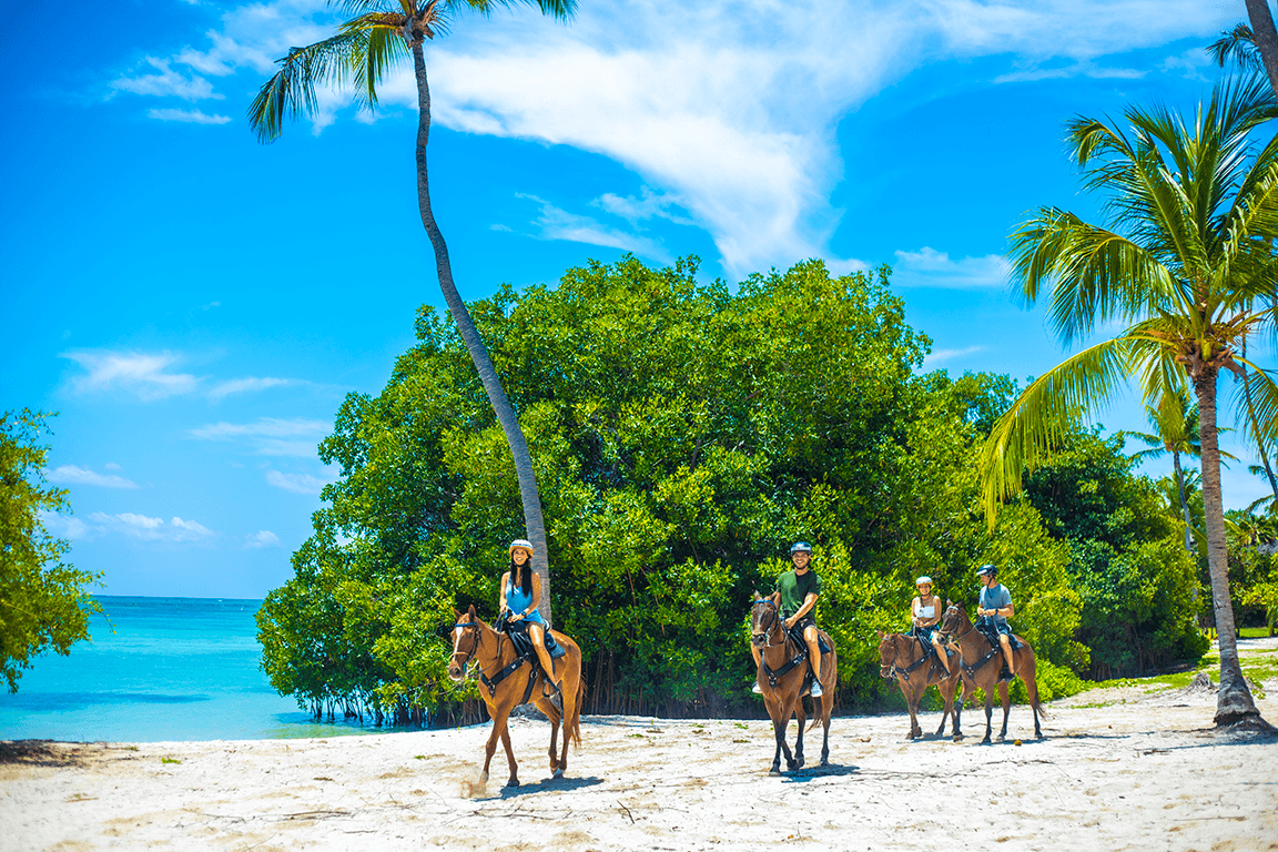 Swim Horse Punta Cana - Imagen 1