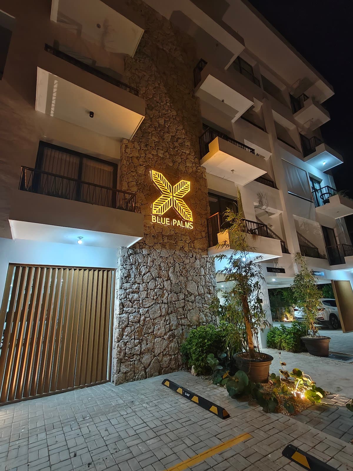 Blue Palms I - Imagen 2