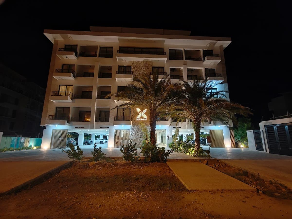 Blue Palms I - Imagen 3