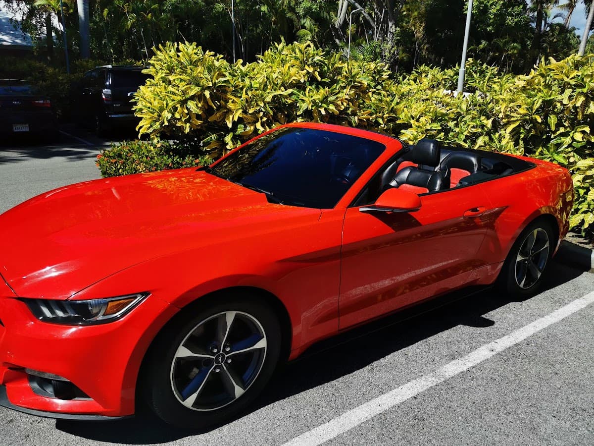 WK Rent a Car – Alquiler de Vehículos en Punta Cana - Imagen 3