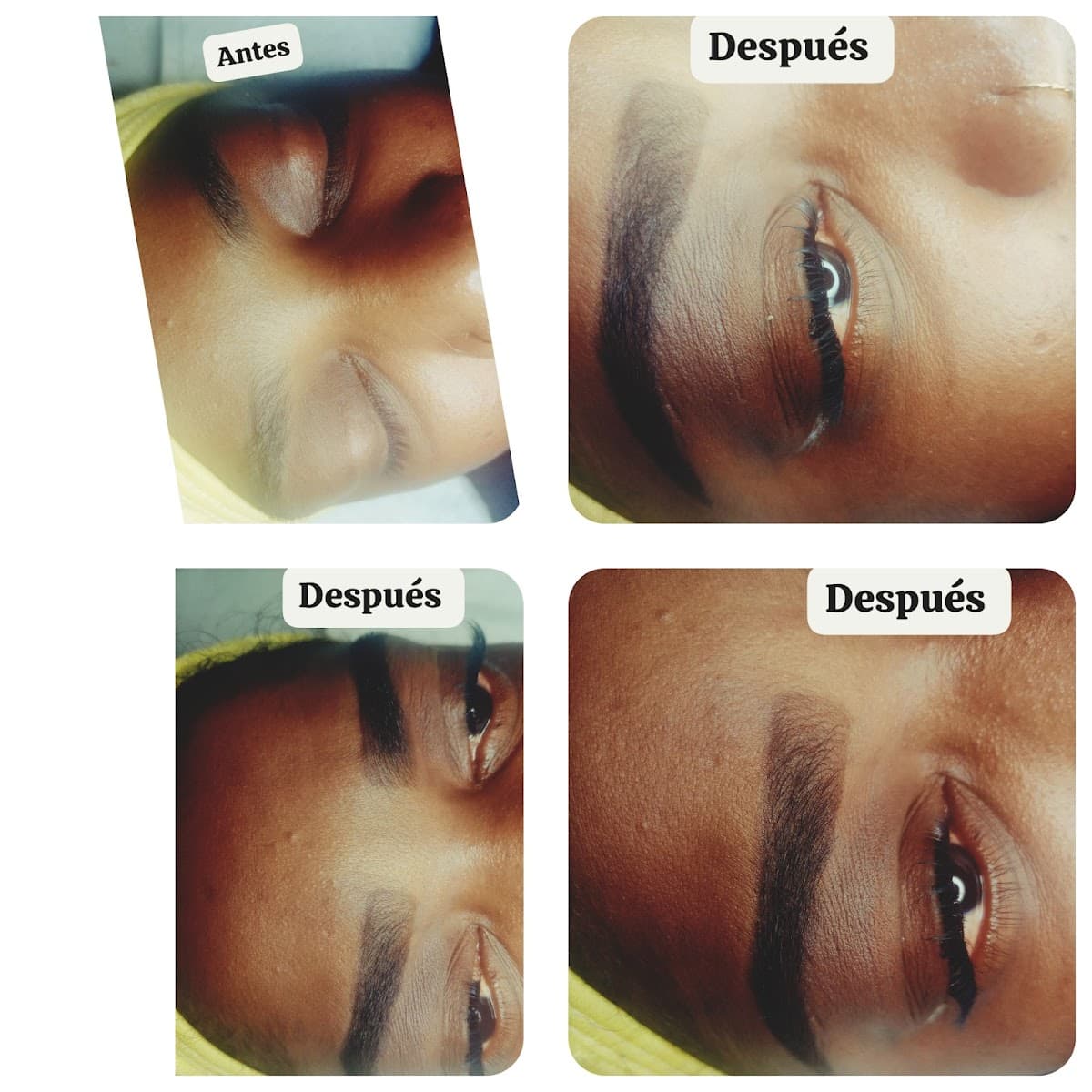 Harmony lash center - Imagen 1