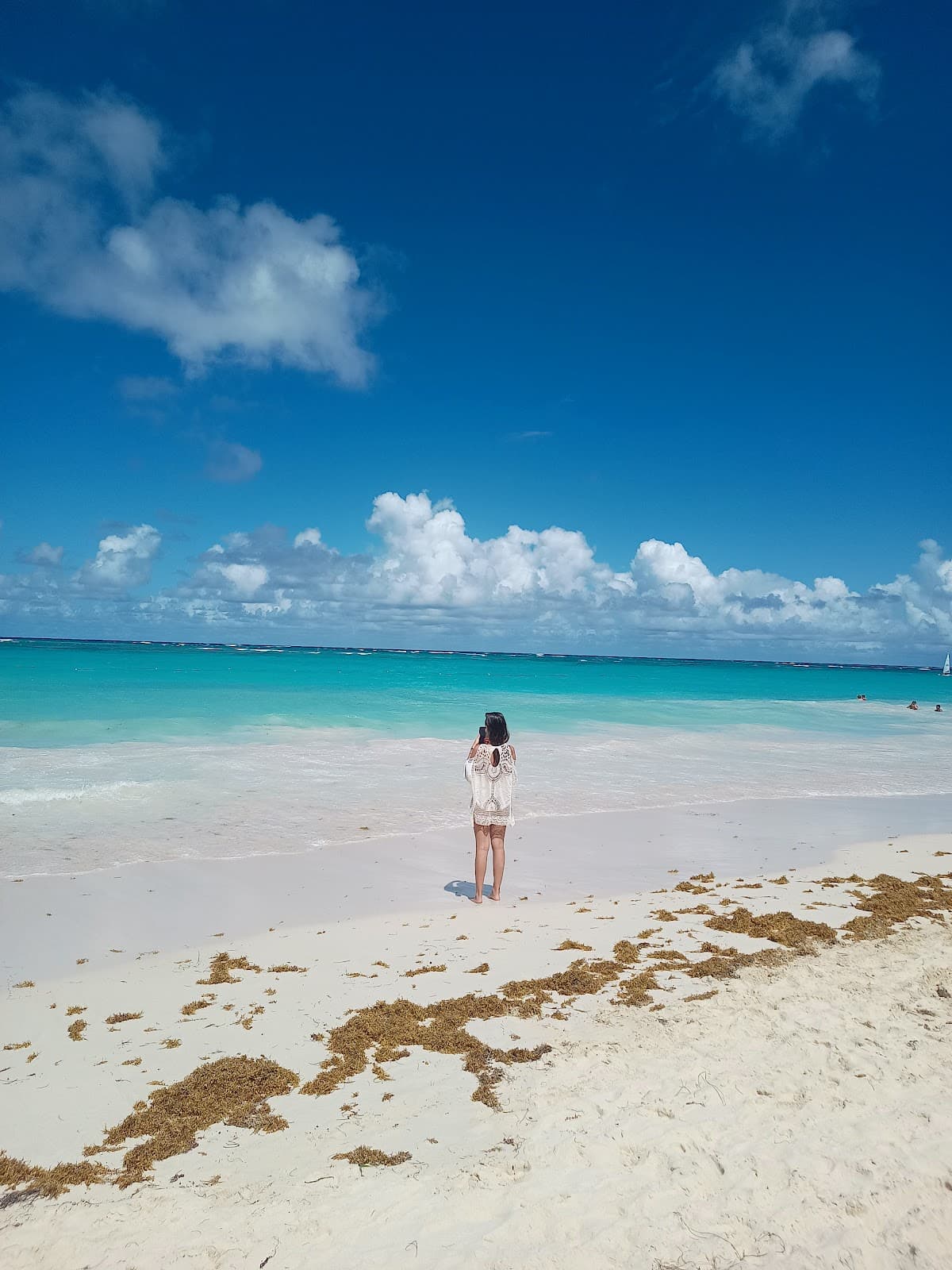 Tours Party boat AND saona island Exxcurssion punta cana - Imagen 2